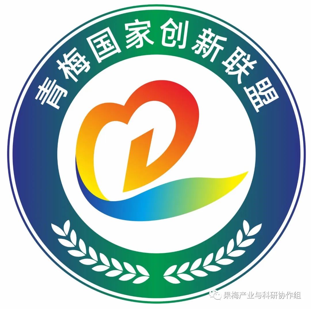 青梅国家创新联盟logo公布喽